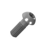 Винт прижима DLS4 (Тип A)