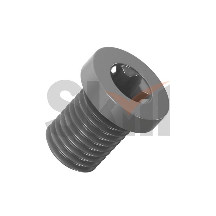 DSP0510 Винт подкладной пластины