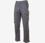 Летние брюки Brodeks KS 301, серый