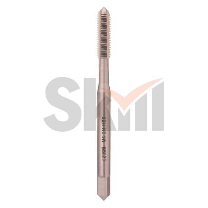 Метчик М 6,0х1,0 (Машинный) DIN371 HSS 6h(2N) C/2P 80мм a=4,9 Bucovice(CzTool) 101060BT